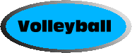 Nik's Volleyball Court